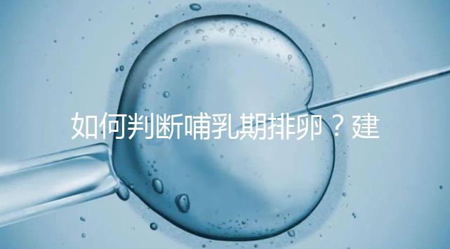 如何判斷哺乳期排卵?建議試試這四招,快速掌握排卵期