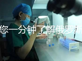 帶您一分鐘了解俄羅斯試管中心的費用明細(xì),快速收集!