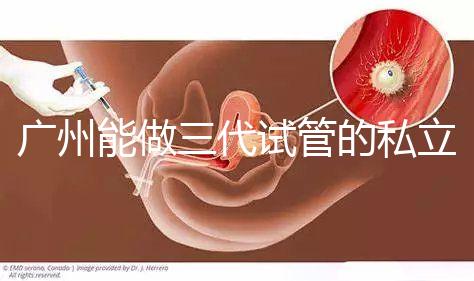 廣州能做三代試管的私立醫(yī)院排名一覽表，看看你心儀的在不在其中