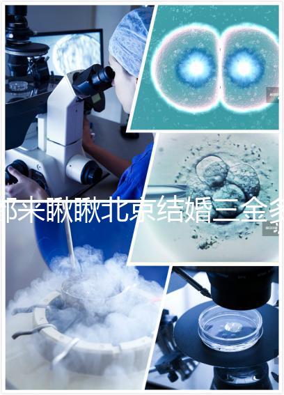 都來瞅瞅北京結(jié)婚三金多少錢，朝陽服裝錢誰出也有答案