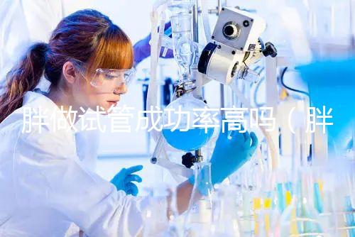 胖做試管成功率高嗎(胖做試管嬰兒會影響成功率嗎)