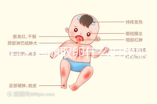 自然周期取卵什么時候??？最佳時間應控制在這個時候