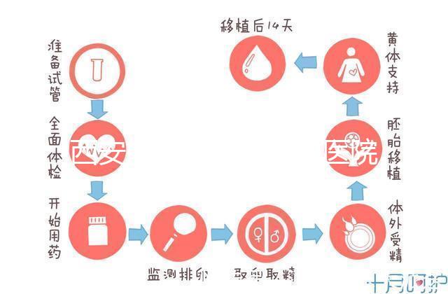西安能做試管嬰兒的醫(yī)院哪家成功率最高?本地Top 5推薦