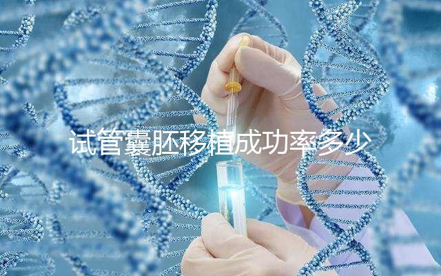 試管囊胚移植成功率多少?醫(yī)生:主要由胚胎質(zhì)量等級(jí)決定