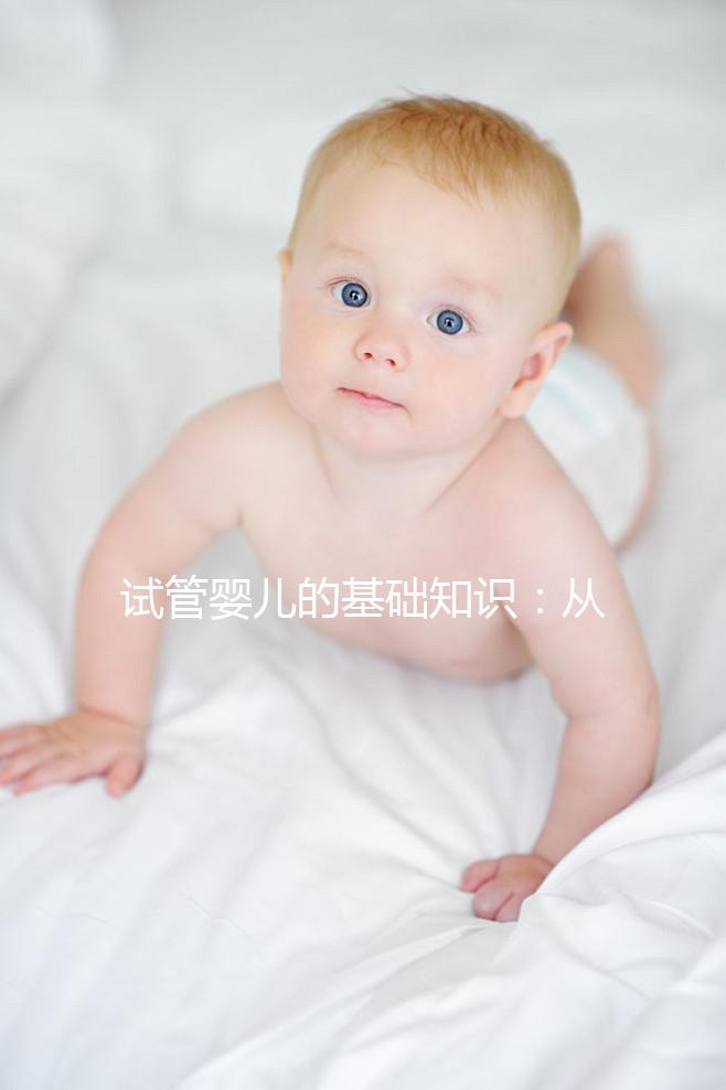 試管嬰兒的基礎知識:從原理到流程全解析