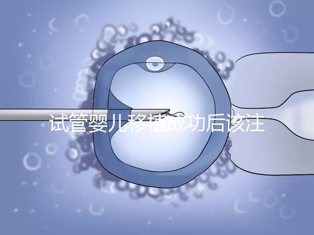試管嬰兒移植成功后該注意哪些保胎事項？