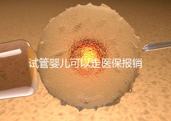 試管嬰兒可以走醫(yī)保報(bào)銷嗎？2025年最新費(fèi)用標(biāo)準(zhǔn)及政策解讀