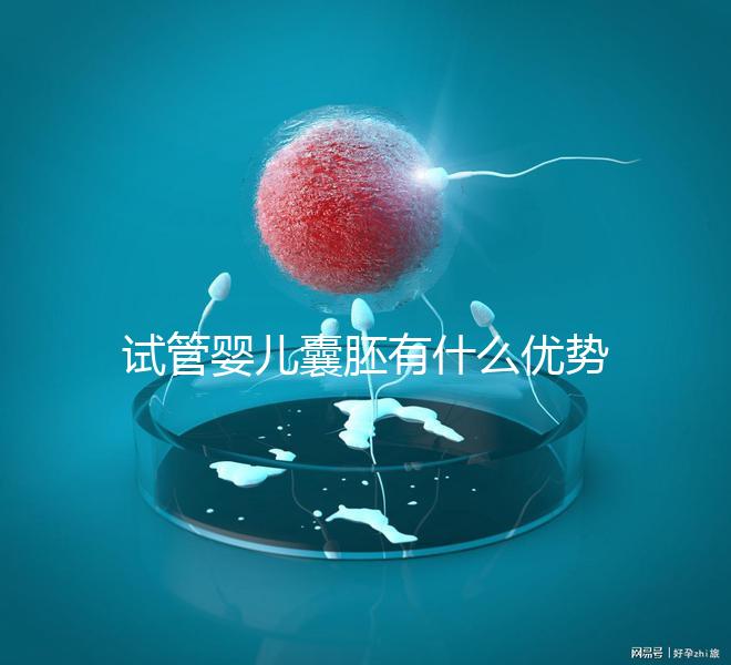 試管嬰兒囊胚有什么優(yōu)勢嗎？