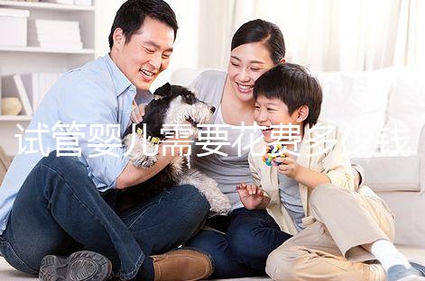 試管嬰兒需要花費多少錢？多少時間？