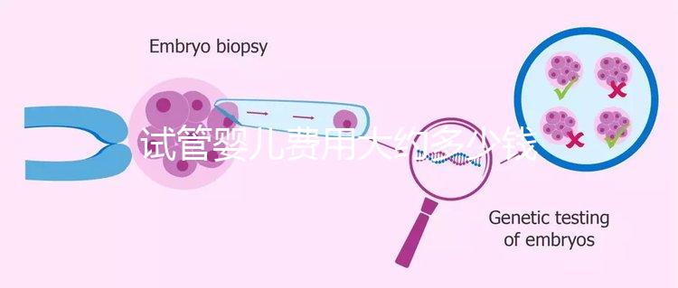 試管嬰兒費用大約多少錢(泰國試管嬰兒費用大約多少錢)
