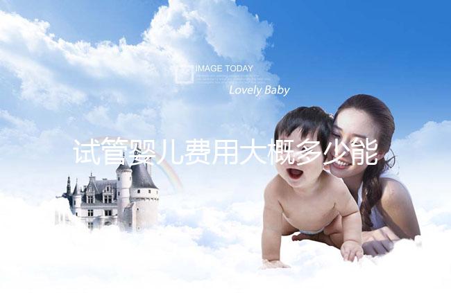 試管嬰兒費(fèi)用大概多少能報(bào)銷(xiāo)住院（試管嬰兒費(fèi)用大概多少能報(bào)銷(xiāo)住院費(fèi)）