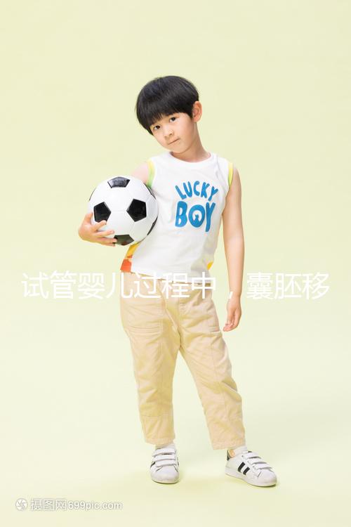 試管嬰兒過程中，囊胚移植和鮮胚移植到底哪個更好？