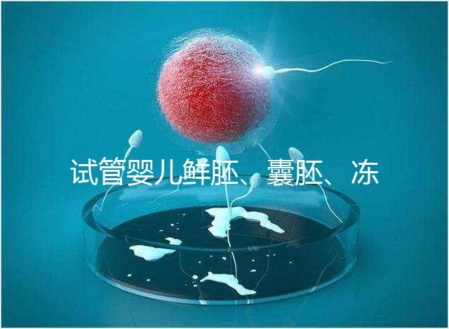 試管嬰兒鮮胚、囊胚、凍胚那個成功率高？
