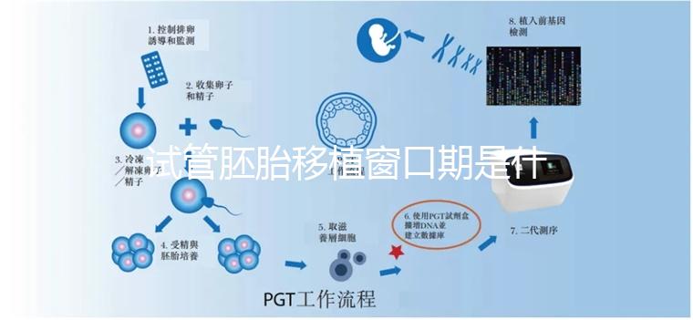 試管胚胎移植窗口期是什么？如何選對時機？