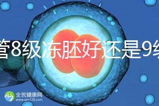 試管8級凍胚好還是9級好進來瞧，看完二者區(qū)別全明白