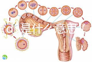 試管d3是什么意思（d3凍胚是優胚嗎）