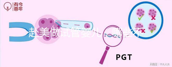 赴美做試管嬰兒，哪些不孕類問題更容易成功？
