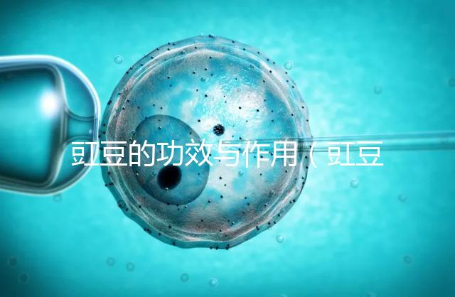 豇豆的功效與作用（豇豆是寒性還是熱性）