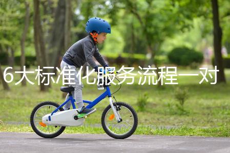 6大標準化服務(wù)流程一對一貼心服務(wù),全程中文陪同