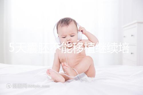 5天囊胚不能移植繼續(xù)培養(yǎng)?美國(guó)試管專(zhuān)家為您解析!