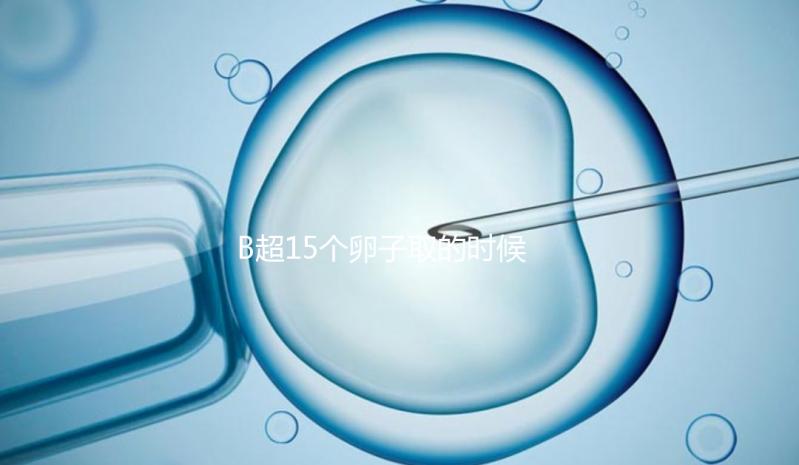 B超15個(gè)卵子取的時(shí)候只取了8個(gè)有原因的卵子,看起來(lái)不正常很清楚