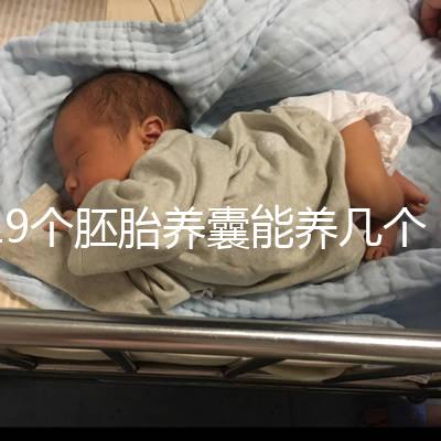 19個(gè)胚胎養(yǎng)囊能養(yǎng)幾個(gè)真難說,質(zhì)量好都成功了也屬正常