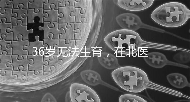 36歲無法生育,在北醫(yī)三院做人工授精成功率有多少?