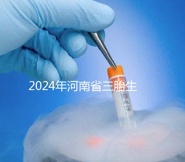 2024年河南省三胎生育津貼發生變化!南陽和信陽最高獎勵20萬!