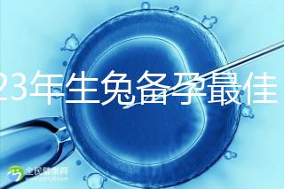 2023年生兔備孕最佳時間表參考，避開十兔九苦月份