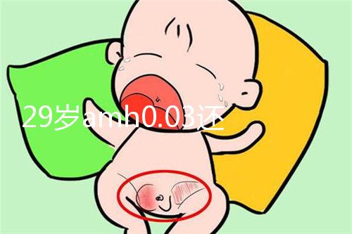 29歲amh0.03還能做試管嬰兒嗎？能否取到卵是懷孕關鍵