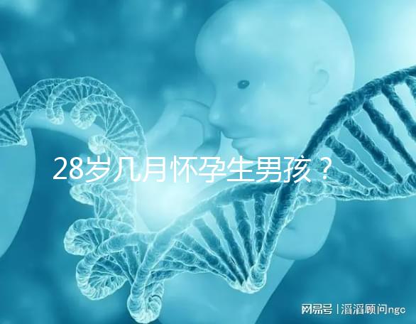28歲幾月懷孕生男孩？2023年生男孩的月份表看這里